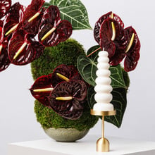 Graduated Ball Pillar Soy-Blend Candle